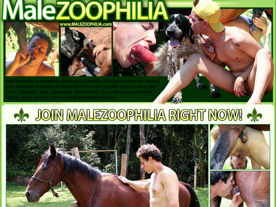  Male Zoophilia